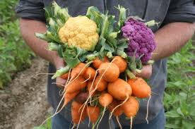organic gardens