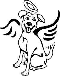 angel the dog