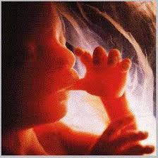 in debating the personhood