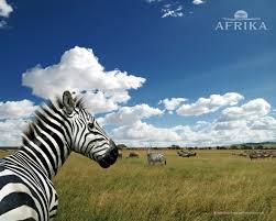 afrika ps3 game