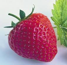 fresa