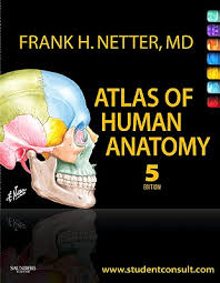 human anatomy fifth edition