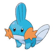 Indicaciones Mudkip