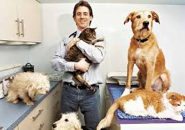 veterinarian schools
