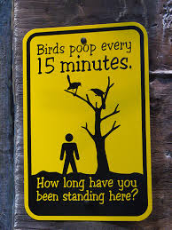birds sign