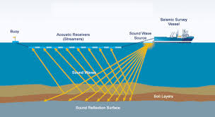 seismic surveys