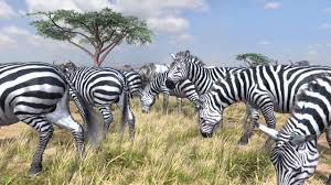 afrika ps3 game
