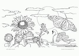 printable cardstock