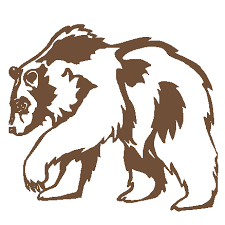 bear decal