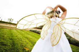child fairy wings
