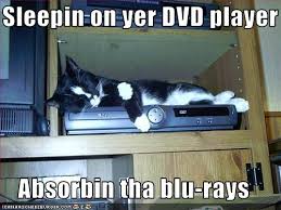 cat dvd player