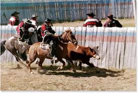 el rodeo