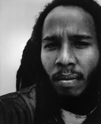 Dragonfly � Ziggy Marley