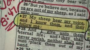 bible journey