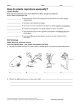 online printable grammar sheets