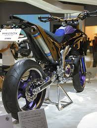 wr250x exhaust