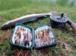 lures for trout fishing
