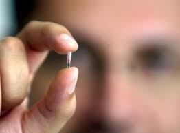 microchip pic