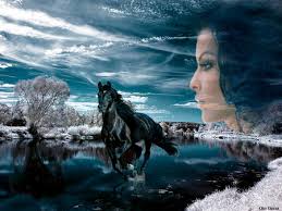 horse in the sky
