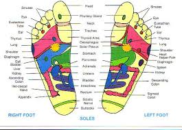 reflexology foot chart