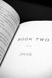 breaking dawn book 2