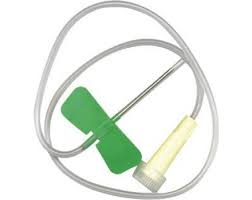 butterfly cannula