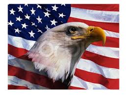 bald eagle flag