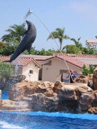 dolly the dolphin