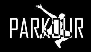 http://t0.gstatic.com/images?q=tbn:QUaof2lEofsghM:http://www.nwaparkour.net/parkour-logo.jpg