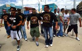 motorcycle gangs