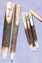 twig pen