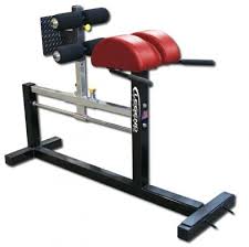 glute hamstring developer