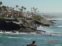 gaviotas
