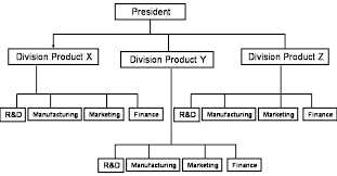 functional organization