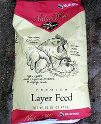chicken and poultry feeds