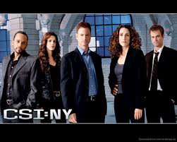 csi new york season 1