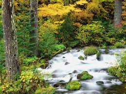 fonds d ecran paysages