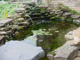 pond rocks