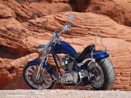 big dog customs