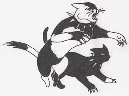 warrior cat scourge