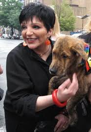 lizza minelli