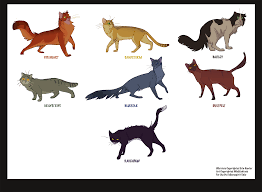 warriors cat series