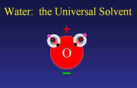 water the universal solvent