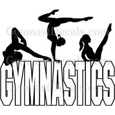 the sport of Gymnastics.