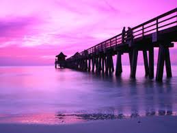 florida pics