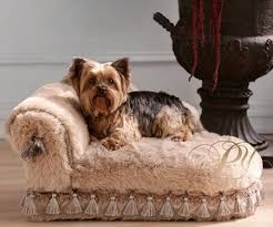 bed dog