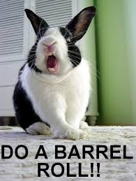 DO A BARREL ROLL.