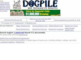dogpile information