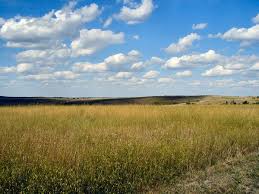 prairie grasslands