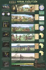 evolution poster